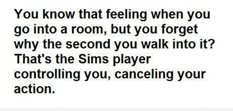 When you go in a room and forget why you came in there is when the Sims player controlling you has canceled your action.